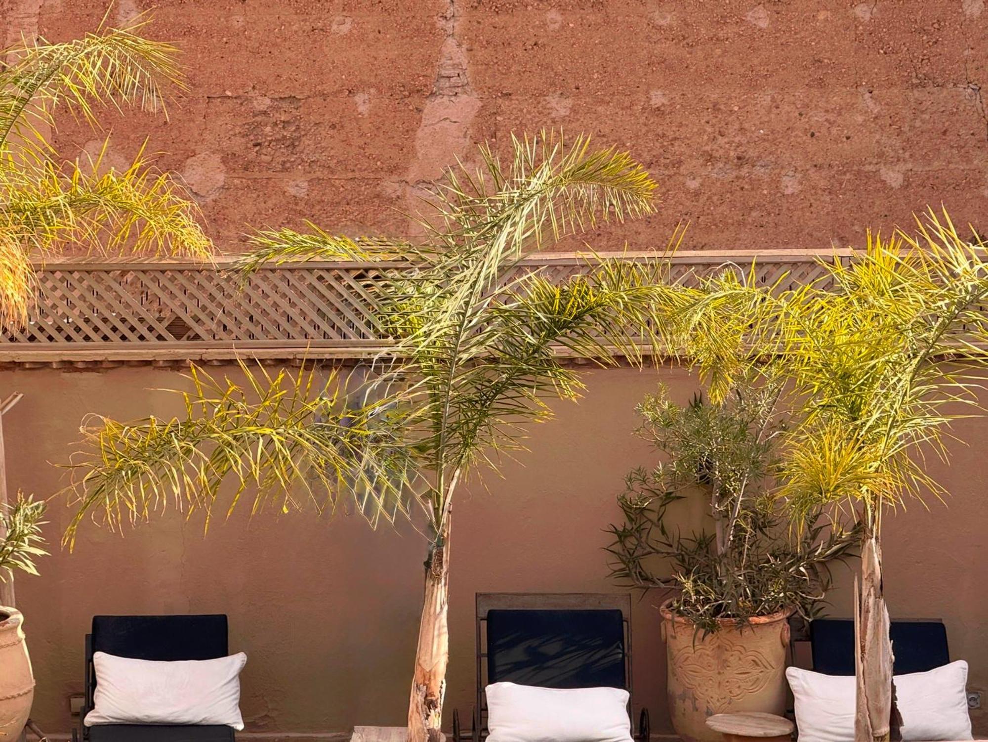 Riad Rafaele & Spa Marrakesh Exterior photo